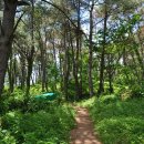 불암치안센터　 이미지