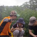 늘푸른동명 이미지