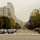 분당-315 이미지