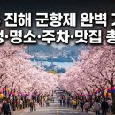 제황산동4-8 | 2026 진해 군항제 완벽 가이드 | 일정·명소·주차·맛집 총정리