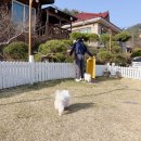 아기천사펜션