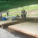 상룡농장 이미지