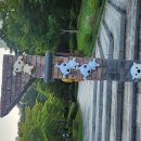 동탄구봉산공원 배드민턴장 | 🎗일상 속 작은 쉼표, 동탄 구봉산 산책 후기🏡