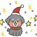 홀리크로스 이미지