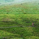 초록풍경 이미지