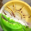 JMT 개밥집 | [JMT개밥집] 로니스 꿩 | 부산 해운대 하이엔드샵, 내돈내산 급여후기 , 동견건조사료 추천, 꿩 동결...