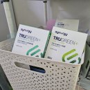 그린시너지 | 내돈내산 시너지 트루그린 후기(액상/라임/스피어민트)