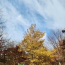 소만어린이공원 이미지