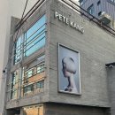 강헤어샵 | 청담동 헤어샵 / 피트강아티잔에서 사이드뱅 예쁘게 커트하고 온 후기(feat.예원디자이너)