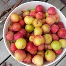 정환2농장 이미지