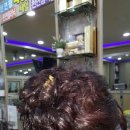 머리향기 이미지