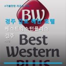 경주 감포 해안 호텔 베스트웨스턴플러스 경주 주차 편리·조식 포함 안내