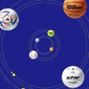 도도 Grooming 이미지