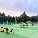 대구유소년풋살대회, 제3회 SKY스포츠아카데미 풋살대회 후기! 대구유소년축구 대구축구클럽