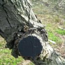 정정농장 이미지