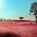 신소양체육공원 이미지