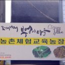 주용농장 | 고개너머 부엉이마을서 쌀엿강정 만들었어요..