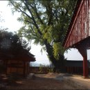 영광향교 이미지