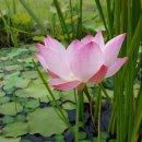 냉천골민박 이미지