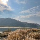 느티나무길>금강공원길 이미지