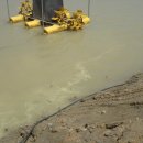 연근농장 이미지