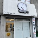 베이비숑 그루밍 이미지