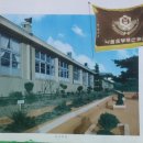 낙동동부초교병설유치원 | 낙동동부국민학교(상주) 30회
