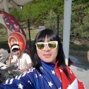 옥길버들초 이미지