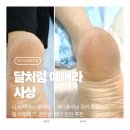 달처럼예뻐라