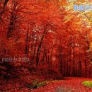 (주) 향산관광