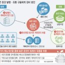 2STO 이미지