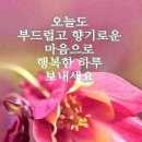 감동글＞ 한 아파트 주민이 환풍기를 타고 들어오는 옆집의 냄새로 인한 고통 아닌 고통을 호소했다. 이미지