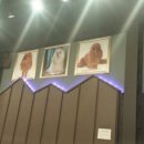 애견호텔1번가 이미지