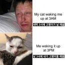 깨움