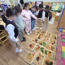 그림책 푸드아트 활동 이미지