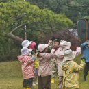 숲속성광유치원 | 숲유치원 2년 차 학보무의 솔직후기