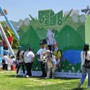 댕댕플래닛 | 강아지훈련사 강형욱 갑질 강아지훈련소 보듬 잡플래닛 논란에 대하여