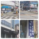 365청솔약국 이미지