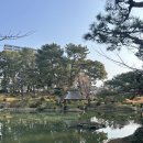 케이엔산업주 | 히로시마 가족 여행: 시내 관광 (슈케이엔, 원폭돔,평화기념공원,기념자료관,혼도리,핫초보리 방문 후기)