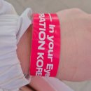 금화안경 | 2026 대일코, 대구일러스트코리아 다녀온 후기(구매한 부스 위주)