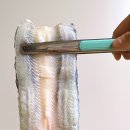 덕천민물장어 이미지