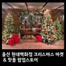 지오다노현대울산 | [울산 현대백화점] 육아맘 필수 코스! 🎄치플레 팝업 & 해리상점 크리스마스 마켓 후기 (주차 꿀팁)