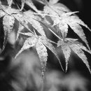 다인기획 - 성동구 고산자로8길 38 | 다인기획