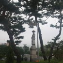양지-12 이미지