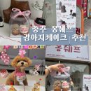 콩셰프 | 충주 몽쉐프 강아지 케이크 내돈내산｜말콩이 첫돌 2구 컵케이크 후기🎂🐶