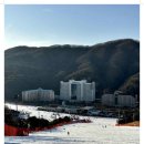 의상디자인 주말/중급 | 홍천 비발디파크 렌탈샵 스키장 리프트권 시간 가격 할인 소식