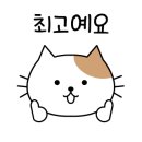 스테이레올 이미지