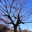 두량3리 이미지