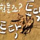 버스정류소_중문관광단지입구 이미지