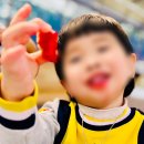 자연어린이집 | 삼산그린어린이집 🍓 딸기밭 체험 후기 | 영아 자연체험 활동 이야기